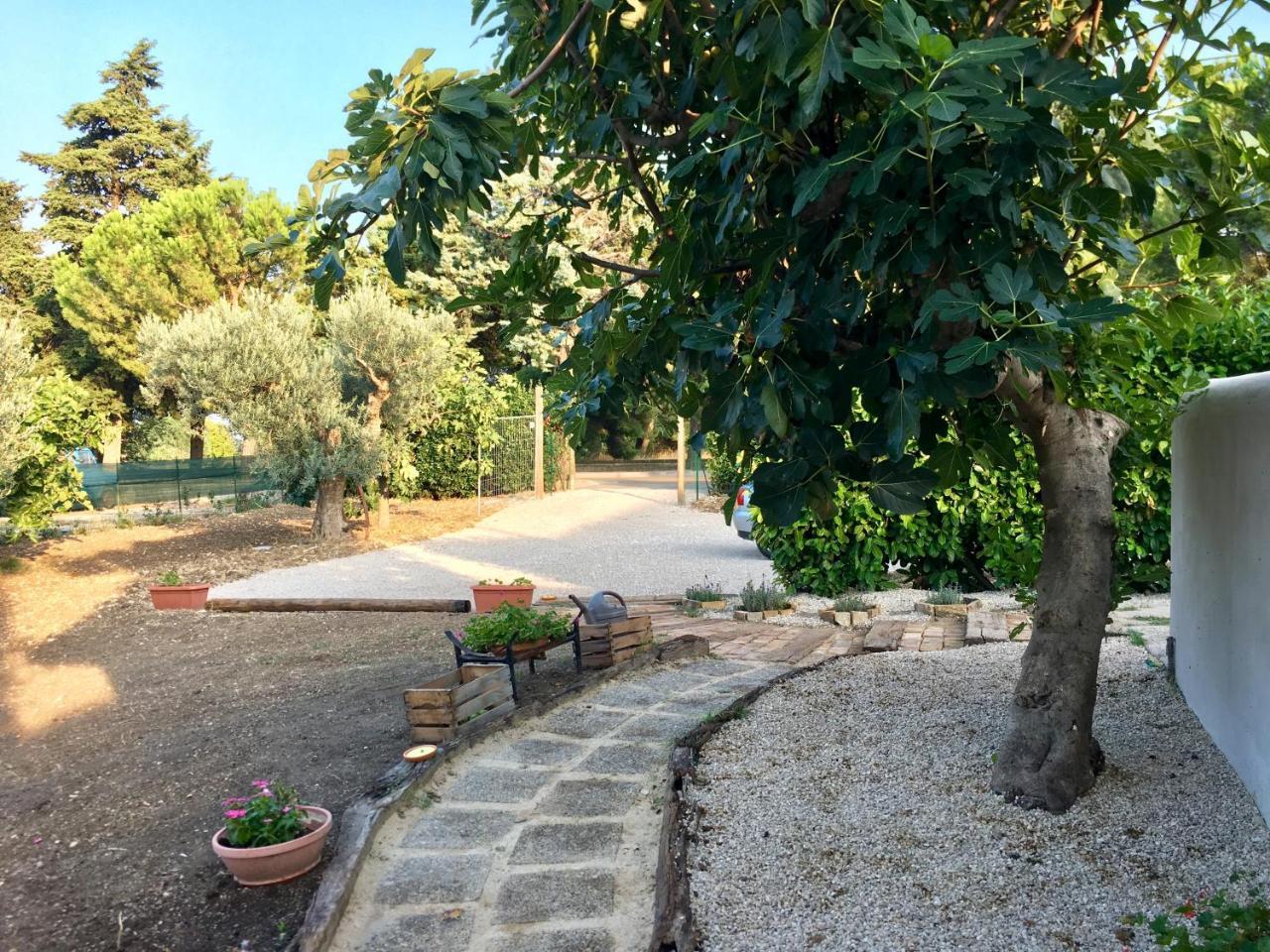 C'Era Una Volta Podere San Giovanni Fossacesia Eksteriør billede