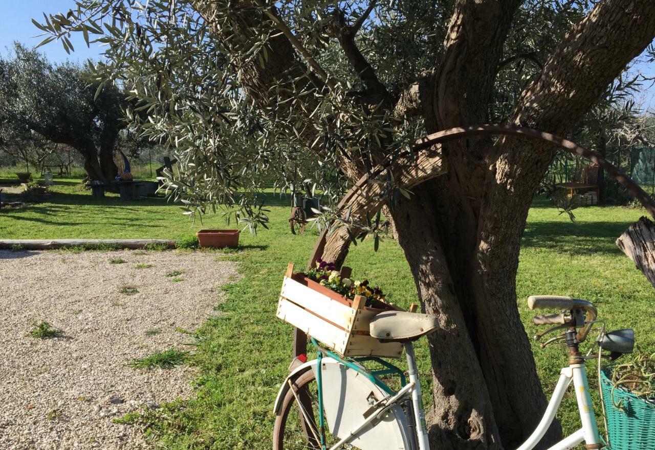 C'Era Una Volta Podere San Giovanni Fossacesia Eksteriør billede